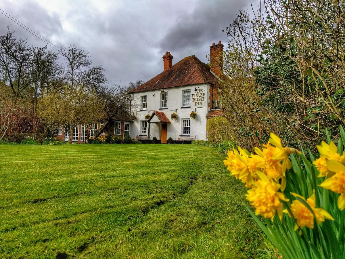 ניוברי The Furze Bush Inn מראה חיצוני תמונה
