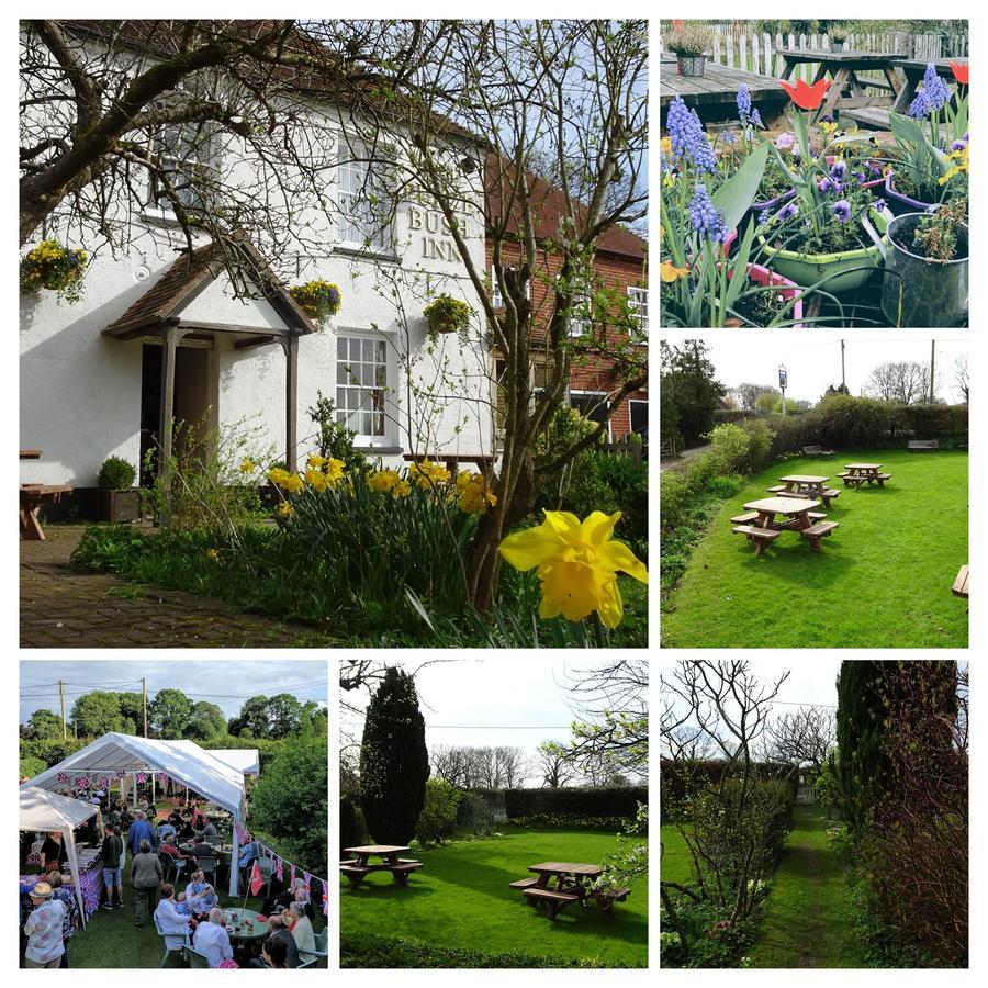 ניוברי The Furze Bush Inn מראה חיצוני תמונה